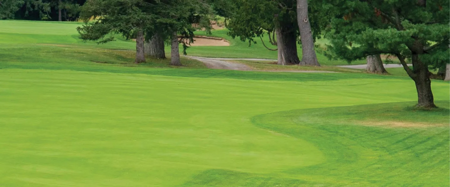 A golf green surrounded by trees.