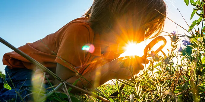 A child in an orange shirt examines plants with a magnifying glass in a sunlit field.